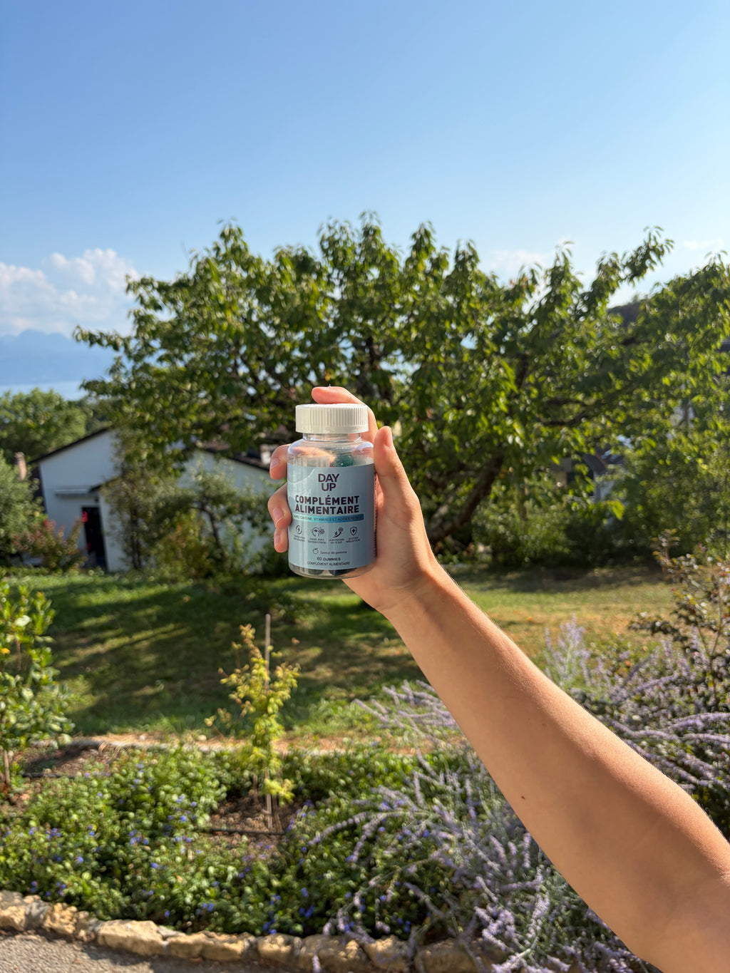 DayUp™ Daily Energy Gummies – Focus, Productivité & Énergie durable | 60 gummies